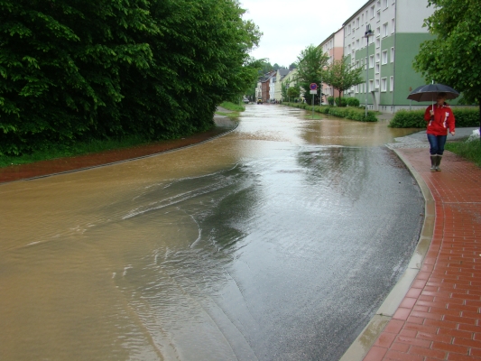 DSC08037.jpg