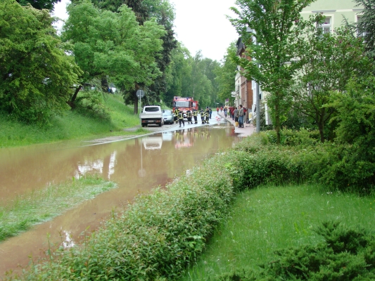 DSC08049.jpg