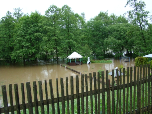 DSC08075.jpg