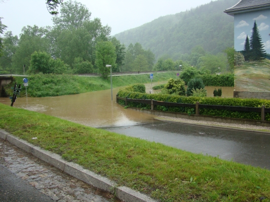 DSC08183.jpg