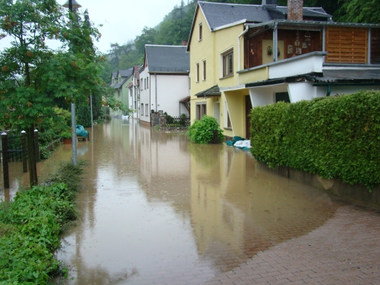 DSC08191.jpg