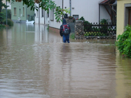 DSC08195.jpg