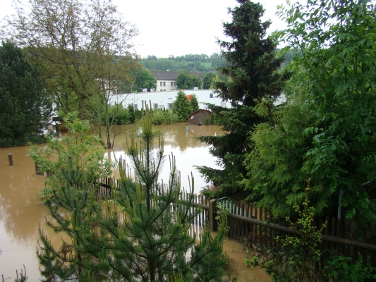 DSC08244.jpg