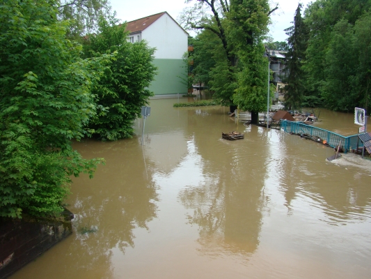 DSC08274.jpg