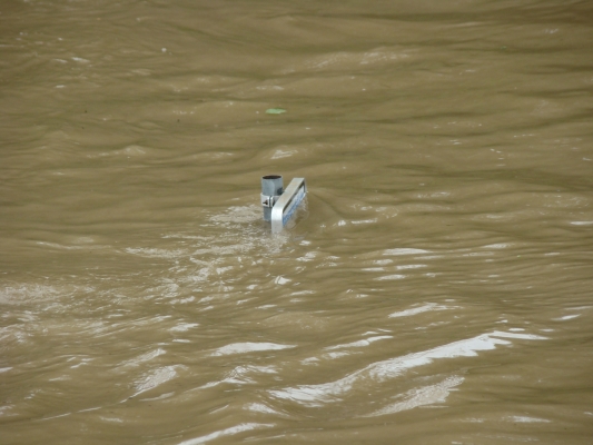 DSC08289.jpg