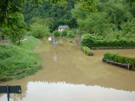 DSC08293.jpg
