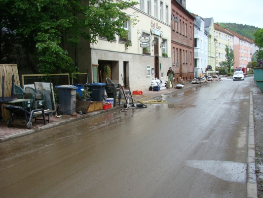 DSC08302.jpg