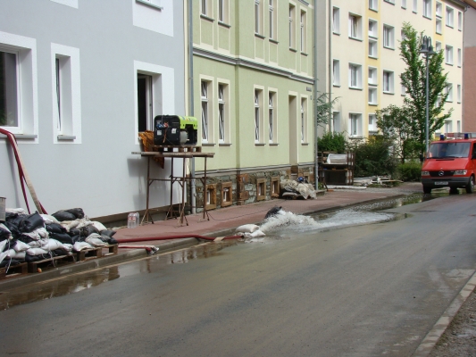 DSC08307.jpg