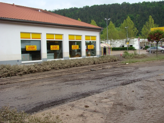 DSC08321.jpg