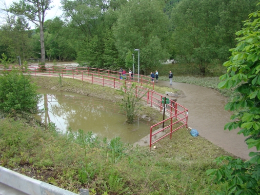 DSC08335.jpg