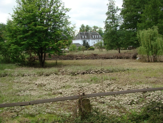 DSC08349.jpg