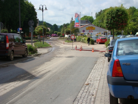 DSC08360.jpg